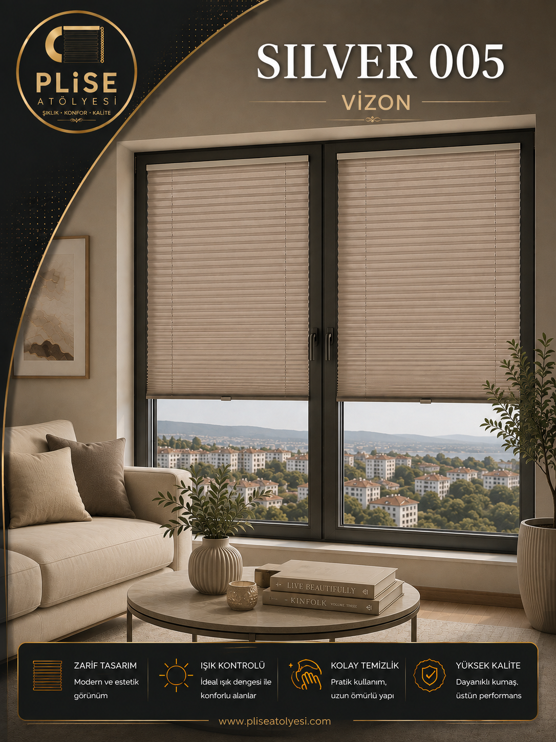 Silver 005 Vizon